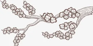 手绘冬日梅花树木免抠