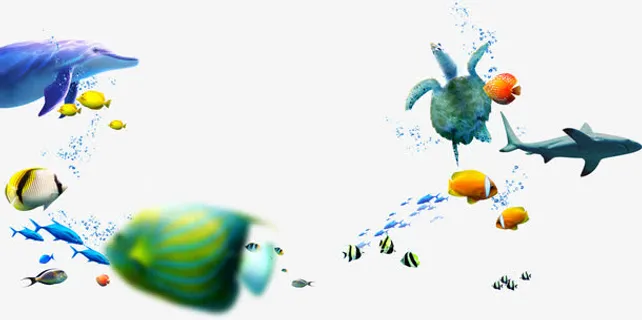热带鱼海底世界夏天免抠 热带鱼海底世界夏天免抠
