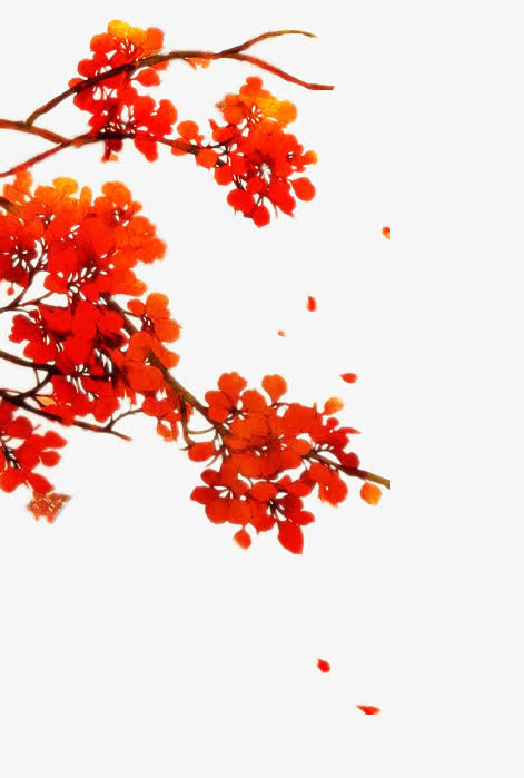 手绘复古红色花朵树枝免抠
