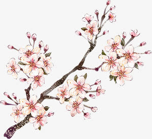 手绘桃花叶子树枝免抠
