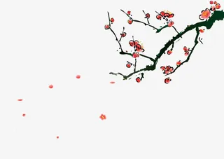 水彩腊梅免抠