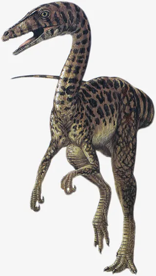 恐龙免抠素材免抠