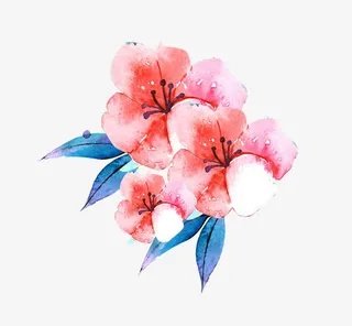 水墨风手绘花朵免抠