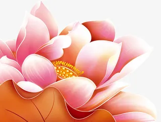 粉色手绘荷花开业免抠