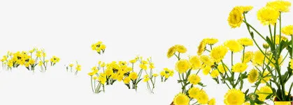黄色卡通花朵美景春天免抠