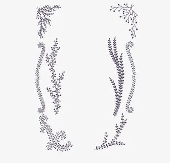 素雅花纹边框背景矢量素材