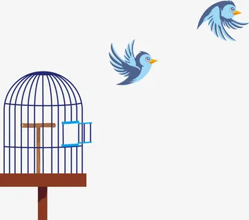 鸟笼里飞出的小鸟免抠