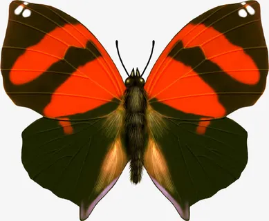 创意手绘合成质感黑色蝴蝶免抠