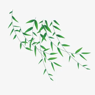 春天  踏青     绿植   竹叶免抠