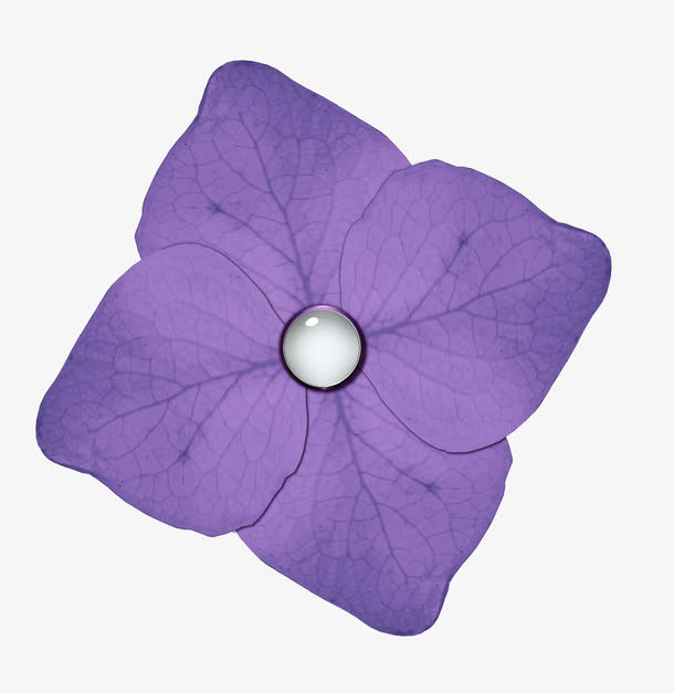 花卉鲜花免抠