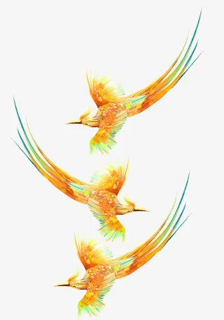 彩色的飞鸟，身无彩凤双飞翼免抠