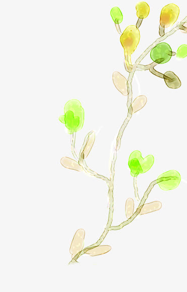时尚插画春天花朵植物免抠