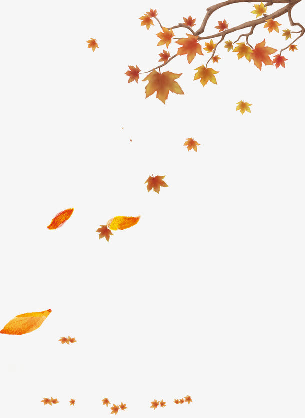枫叶免抠