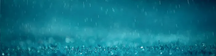雨天草地背景高清