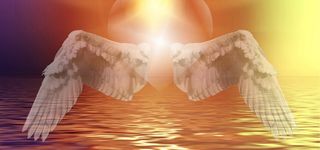 爱情比翼双飞高清