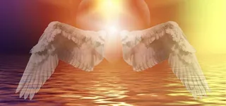 爱情比翼双飞高清