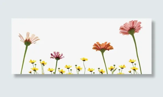 春天清新唯美花免抠