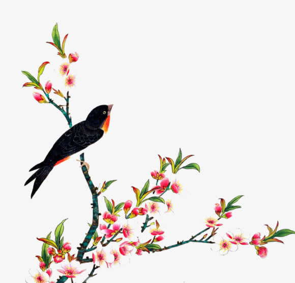 花枝绿叶黑色鸟免抠