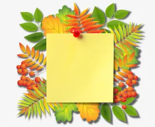 秋天边框素材免抠免抠