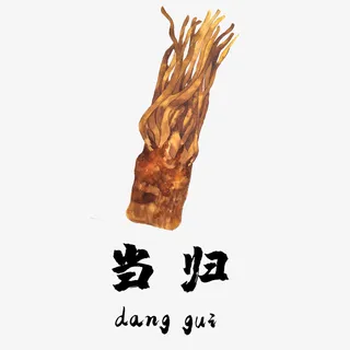 当归 中药材 健康 卡通免抠