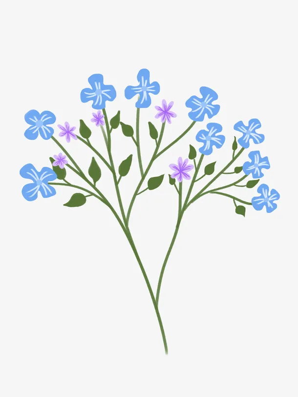 植物亚麻籽油免抠