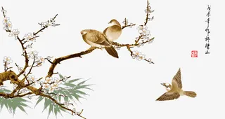 花鸟工笔画梅花免抠