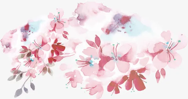 手绘鲜花PNG下载免抠