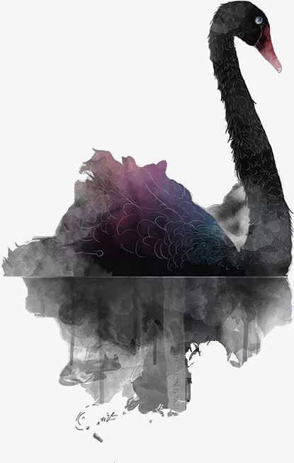 手绘黑天鹅免抠