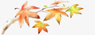 手绘秋日树叶美景树枝免抠