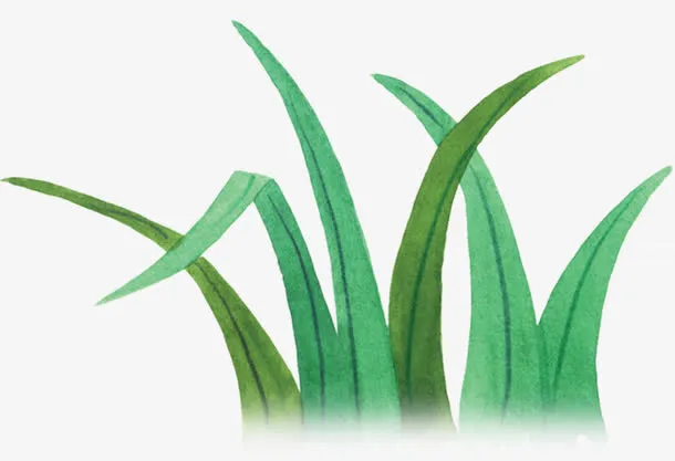 绿色春天草地美景装饰免抠