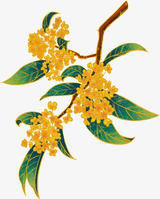 桂花手绘桂花黄色桂花免抠