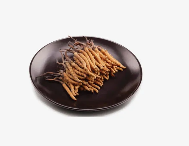 免抠素材碗中的虫草免抠
