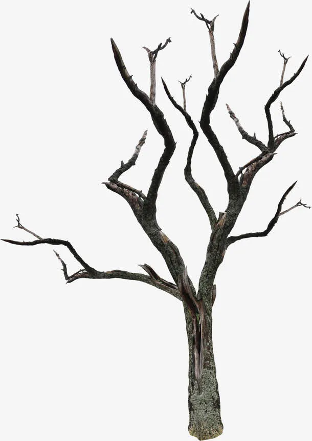 枯树素材免抠