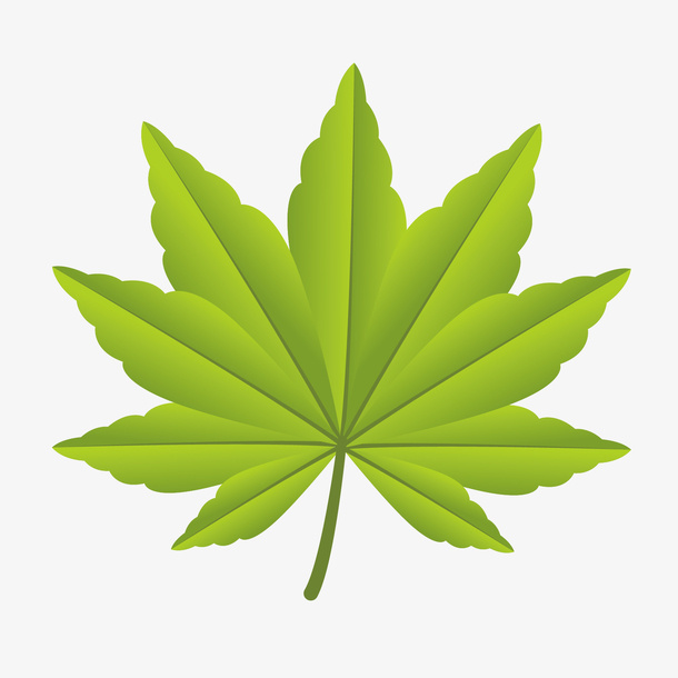 春天精美绿色树叶免抠