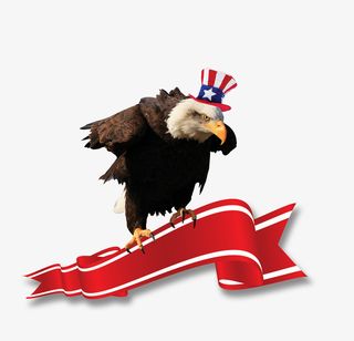 脚抓横幅头带帽的白头鹰免抠