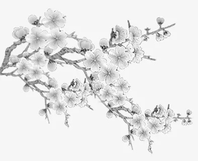 梅花免抠