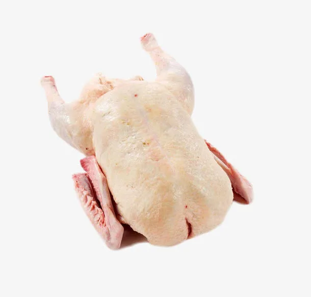 生的鹅肉素材图片免抠