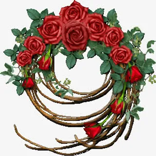 玫瑰花边框免抠