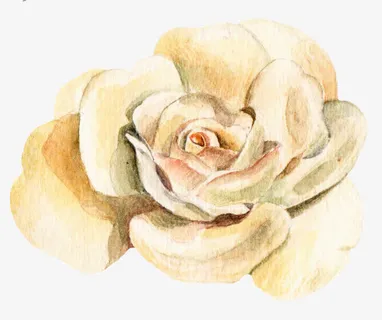 彩绘黄色水墨牡丹花免抠