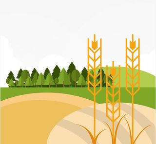 金黄矢量麦穗绿色树林草地免抠