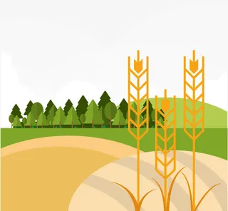金黄矢量麦穗绿色树林草地免抠