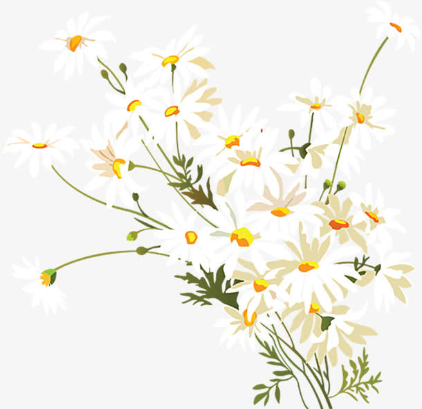 手绘小雏菊免抠