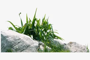 中国风素材漂浮古风素材草丛山水免抠