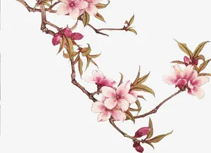 手绘桃花树枝免抠