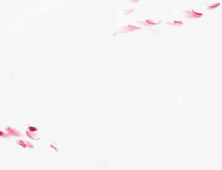 浪美唯美七夕飘落花瓣免抠