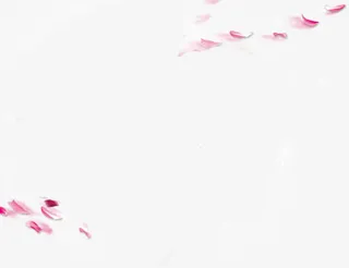 浪美唯美七夕飘落花瓣免抠