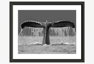 卡通艺术素材卡通无框画图片免抠