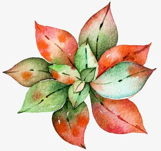 手绘水墨树叶免抠