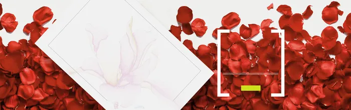 情人节玫瑰花花瓣方框高清