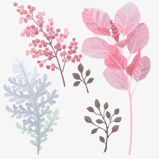 小清新淘宝手绘卡通树枝树叶免扣免抠